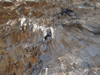 SNV80444.JPG